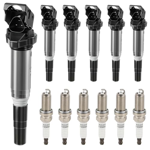 Set of 6 Ignition Coil Pack and Spark Plugs Compatible
