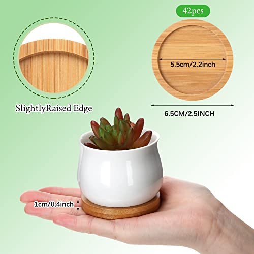 42 Pieces Planter Pot Bamboo Saucer 2.2 Inch Round Plant Saucer Plant Plate No Holes Plant Trays For Pots Succulent Pot Holder For Most Indoor Small Ceramic Plant Pot Flower Pot Holding Drainage Water #TOP1