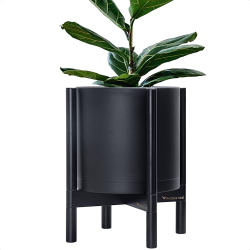 D'vine Dev Plastic Pot with Ebony Wood Stand, Black, 12 in, 55-C-Q-2