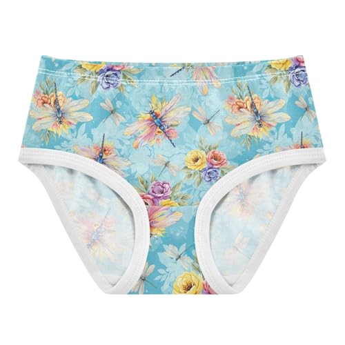 Joisal Girls Underwear Toddler 2t Cotton Girl Panties Cute Funny Underpants Briefs Watercolor Dragonflies Floral