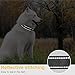 HEELE Hundehalsband, weich gepolstertes Neopren Nylon Hunde Halsband für kleine mittlere große Hunde und Welpen, verstellbare und reflektierende Halsband Hund für Training, Rosa, S