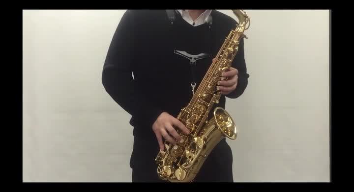 アルトサクソフォーン B.CRAMPON SENZO GP 41千番 アルトサックス