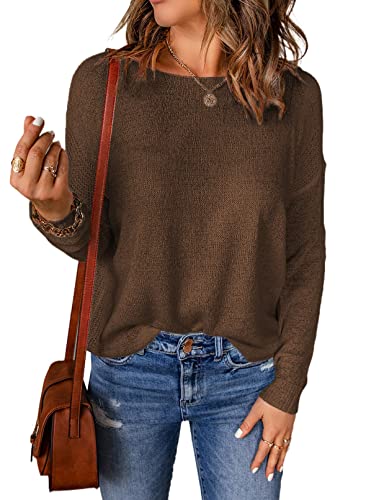 Acelitt Womens Casual Fall Long Sleeve Crewneck Lightweight Loose Crochet Knit Pullover Sweaters Tops Brown Medium