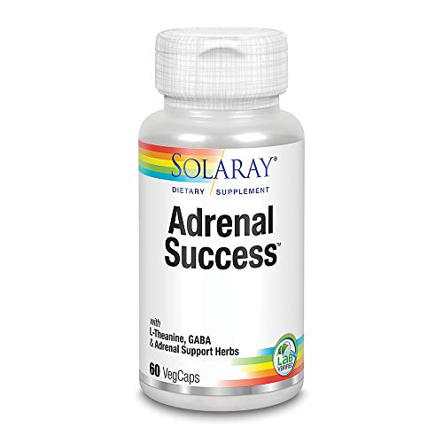 Solaray Adrenal Success | Herbal Adaptogens Plus GABA & L-Theanine for Healthy Stress Support | 30 Servings, 60 Count (Pack of 1)