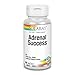 Solaray Adrenal Success Supplement, 60 Count