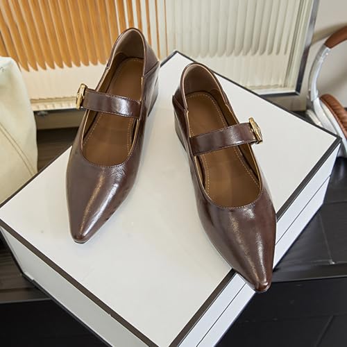 Women's Genuine Leather Pointed Toe Chunky Heel Mary Jane Shoes Fashion Comfort Slip On Adjustable Buckle Low Heels Pumps Casual Office Work Dress Shoes Mary Janes4