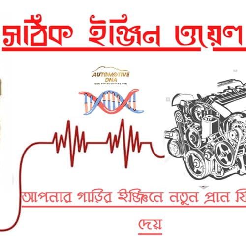 The Lifeblood of your CAR