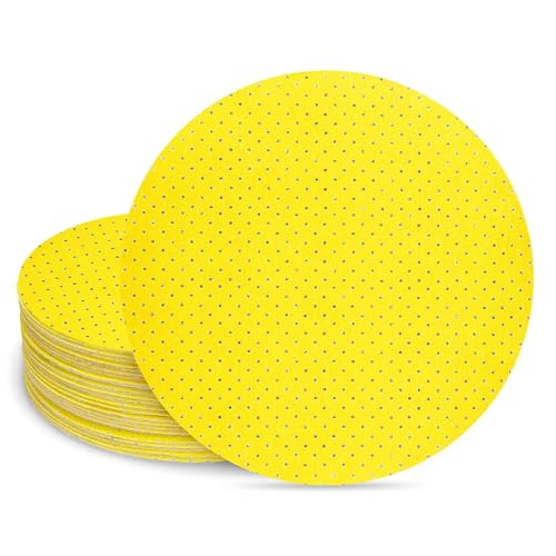 POWER PRO 2100 - Perforated Drywall Sanding Abrasive Discs 9