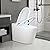 DeerValley Smart Toilet, One Piece Tankless Toilet, Elongated Toilet with 1.28GPF Auto Flush, Heated Seat, Foot Kick Operation, Night Light, DV-1S0159-V1