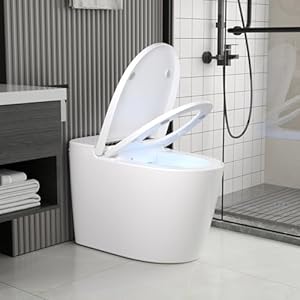 DeerValley Smart Toilet One Piece Tankless Toilet Elongated Toilet with 128GPF Auto Flush Heated Seat Foot Kick Operation Night Light DV 1S0159 V1