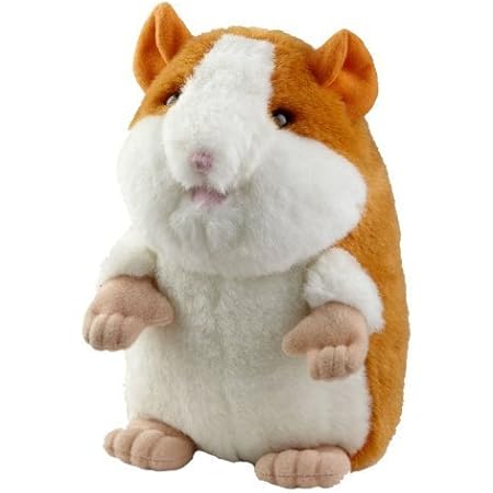 Talking Hamster Repeats What You Say 