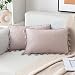 MIULEE Confezione in Velluto Circondato da Nappe Decorative Federe Copricuscini per Divano Soggiorno Fodere Casa 2 Pezzi 30X50 CM Legno