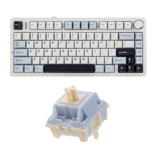 EPOMAKER x Aula F75 Gasket Keyboard