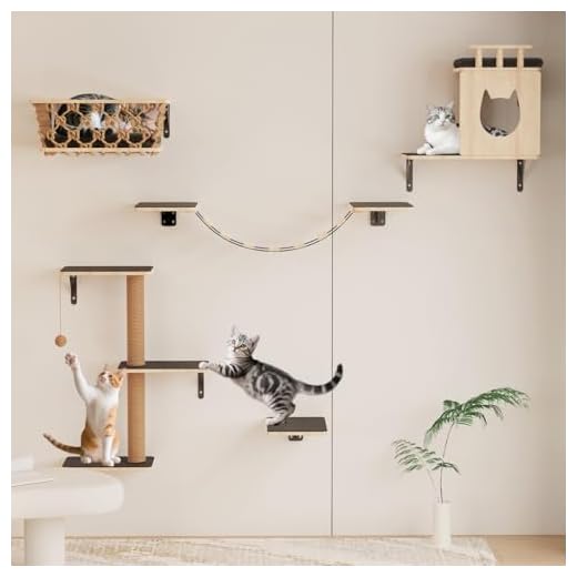 5-in-1 Stylish Cat Wall Shelves