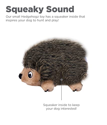 Outward Hound Hedgehogz Plush Dog Toy, Small #TOP3