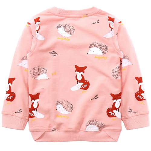Image of Hongshilian Unisex Kids Cute Cartoon Cotton Sweater Shirt