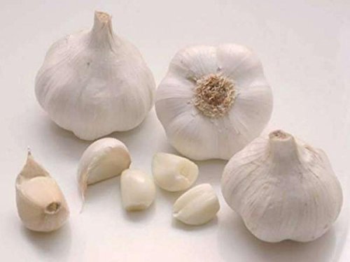 Paquete de 6 cabezas de ajo, color blanco, para cultivar plantar jardín