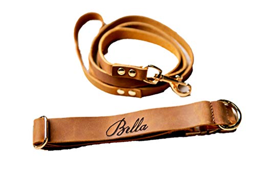 Personalized Distressed Leather Dog Collar With Metal Buckle and Leash by Left Coast Original
