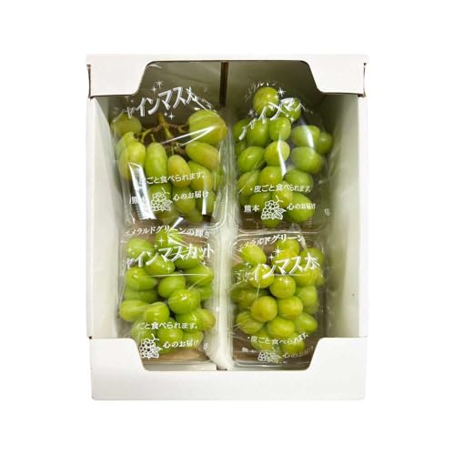 シャインマスカット1.2kg(300g×4パック) [2026年7月中旬〜8月中旬頃順次発送予定]小﨑果樹園