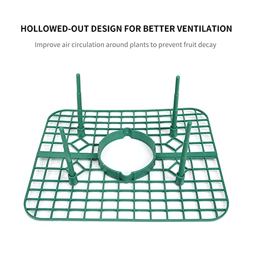 5 Pack Plant Melon Supports Cages Cradles Trellis For Watermelon, Cantaloupe, Pumpkins, Strawberries - Avoid Ground Rot - Reusable (Square Strawberry Support) #TOP4