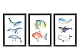Din A4 Kunstdruck ohne Rahmen - 3-teilig - Wal Fische 