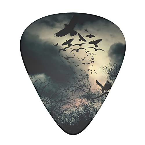 Ensemble de 12 médiators de guitare Night Crow pour guitare acoustique, guitare électrique, contrebasse, ukulélé - Les Beatles, Paul McCartney, John Lennon, RIngo Starr, George Harrison Ensemble de 12 médiators de guitare Night Crow pour guitare acoustique, guitare électrique, contrebasse, ukulélé