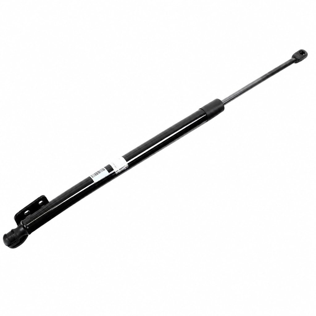 Amazon.com: Genuine OEM 81780-B8000 Tail Gate Lifer Cylinder, RH