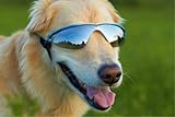 Doggles K9 Optix Blue Rubber Gradient Frame with Smoke Lens Sunglasses, Small