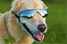 Doggles K9 Optix Blue Rubber Gradient Frame with Smoke Lens Sunglasses, Small