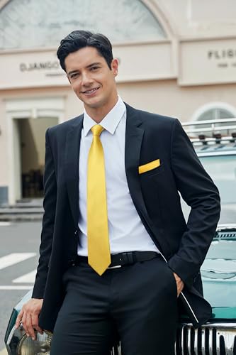 Image of HISDERN Mens Ties Solid Color Tie and Pocket Square Set Classic Woven Formal Neckties & Handkerchief Wedding Party