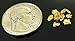 Alaskan Yukon Gold Rush Nuggets #8 Mesh 1 Gram of Fines