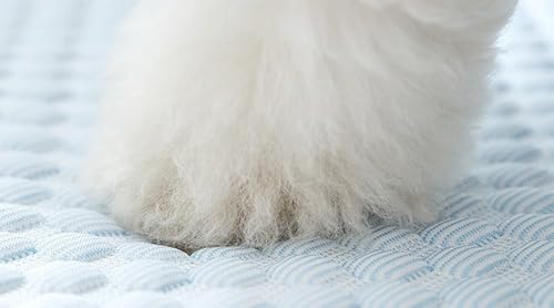 ENFILY Cama de gato fofa, confortável, almofada para animais de estimação, lavável, respirável e fre