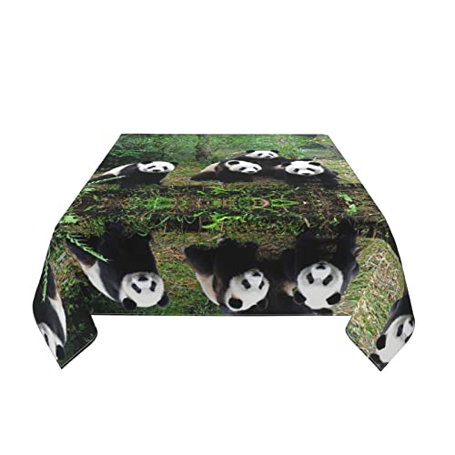 Nappe carrée panda anti-tache et imperméable pour table propre sans effort - 8
