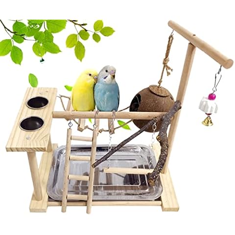 Hamiledyi Bird Playground with Perch and Toys Cover