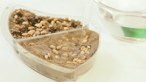 Ravensburger 18889 - Experimentierkasten ScienceX Ökosystem Erde – Bild 5