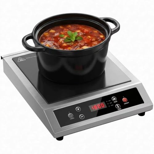 Stainless Steel Induction Cooktop, Professional-Grade Portable Induction Cooker with Precise Temperature Control, 10-Hour Timer, Powerful 1800W Countertop Hot Plate