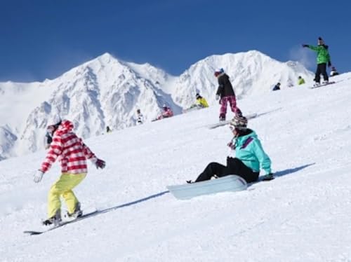 白馬村観光局 長野県白馬岩岳スノーフィールドリフト券 [小学生1日券1枚][L0200280]