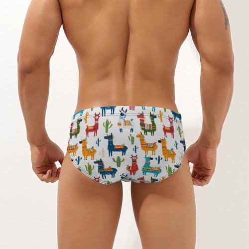 Llama Cactus Novelty Men's Brief Swimwear Pants Swimming Trunks Beach Shorts Underwear2