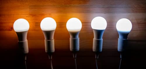 Brilliant-Illumination-Unveiling-the-Power-and-Efficiency-of-LED-Bulbs-200-v-Round-G23-LED-Bulb