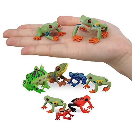 Toymany F-QINGWA01-10P Frog Toy Figures, Plastic Rainforest Woodland Animals Toy Frogs Set thumb #1