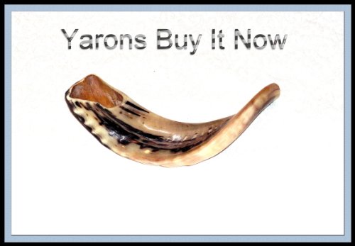 DVD-Span-Biblical Use Of The Shofar