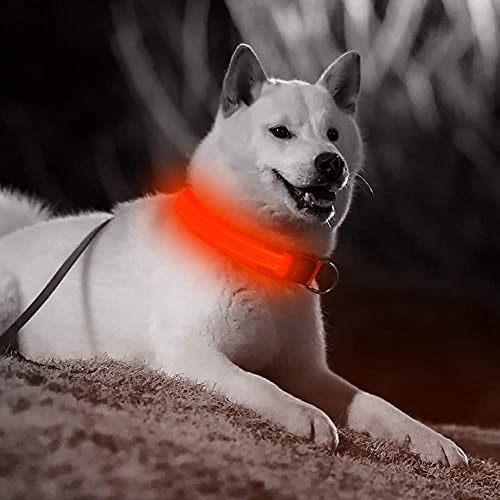 Candofly Reflective Led Dog Collar - Light Up Dog Collars Usb Rechargeable Puppy Collar Durable Nylon Pet Collar Dog Lights For Night Walking & Camping (Small, Orange) #TOP7