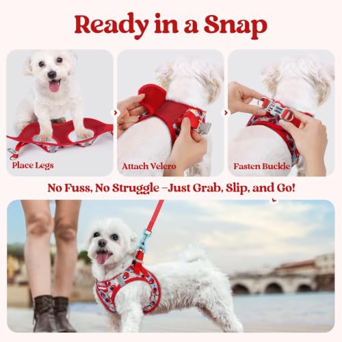 Image of rabbitgoo Dog Harness Medium Sized and Leash Set, Step-in Puppy Pet Vest