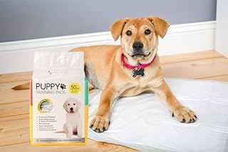 Puppy Pads 50 Pack 56 x 56cm Training Disposable Dog Mats Super Absorbent Wee Odour Locking Leakproof Toilet Pet Carrier Puppies Crate Liners