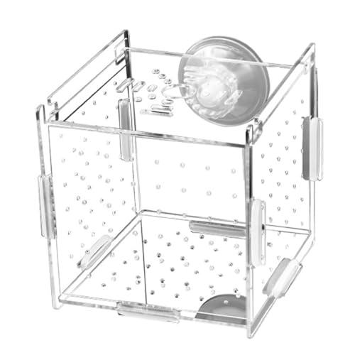 VOANZO Caja de cría de Peces, Caja de Aislamiento de acrílico Transparente para Acuario con Ventosa para Colgar, criadero de Peces y camarones para pecera