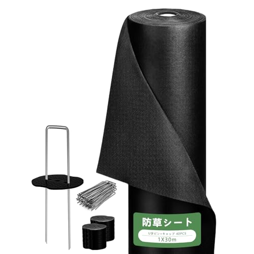 [YdGalxeon] hV[g  V[g 1m×30m sDz 10Nϋv ڂV[g UsY40{ƍ40t EϋvEx UVόܔz p/Ԓdp/Hp//lHŉ Gh~V[g (ubN, 1X30m