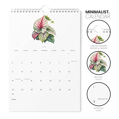 Calendar 2023 - Vertical 11X17 2023 Wall Calendar Runs Until June 2024 - Easy Planning With The 2023 Calendar - Aesthetic Wall Calendar 2023-2024 Monthly - Karto - Tiny Plants #TOP1