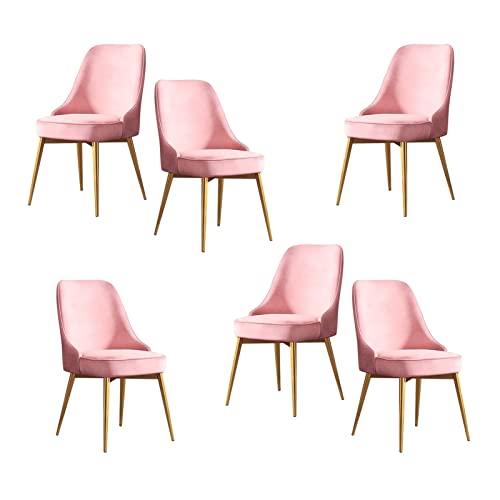 SJIALEN Kitchen Chairs Set of 6, for Living Room Bedroom Apartment Balcony Makeup Chair Velvet with Golden Legs Lounge Chairs Kitchen Chair (Color : Pink, Size : Golden feet)