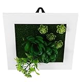 Múltiples : elija entre una amplia de variedades de plantas y diseños de marcos para combinar con su estilo personal y la decoración del hogar, marco de fotos de vegetación artificial, marco de pared con plantas en macetas artificiales