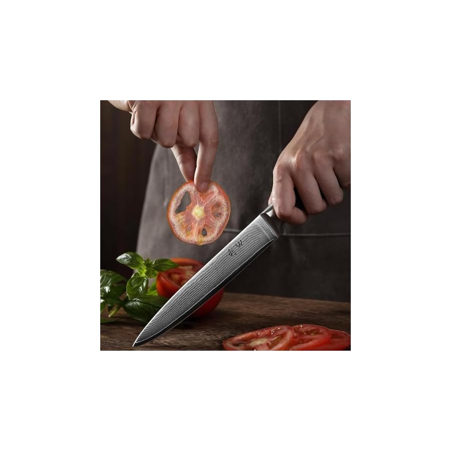 Wakoli Damascus Kitchen Knife Set, 4 Pieces Professional Chef Knife Set made from 67 Layers of Damascus Steel with VG10 Core, Knives Set for Kitchen with Pakkawood Handles in Gift Box (EDIB 4-pcs)